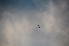 Flying Kite In The Sky, Fantasy, Freedom, Fun, Game, Imagination, Kite. Stock Photo