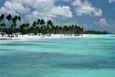 Tropical Sunny Ocean Coastline Royalty Free Stock Photos Tropical Sunny Ocean Coastline Royalty Free Stock Photos