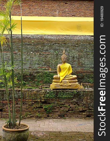 Stillife with the statue of Buddha and bamboo tree. Stillife with the statue of Buddha and bamboo tree