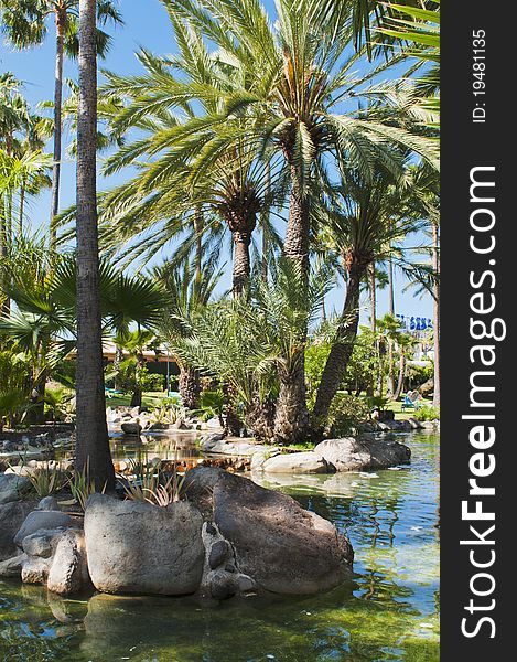 Subtropical garden on Grand Canary a isle from Spain with palm trees and succulents