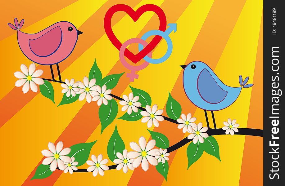 Pink bird and blue bird with love symbol. Pink bird and blue bird with love symbol