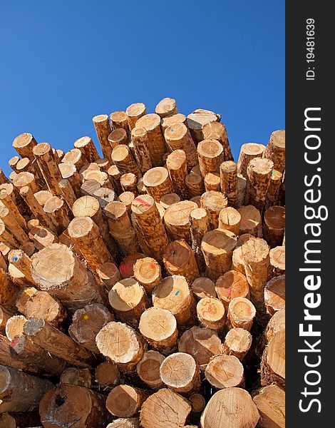 Woodpile in the sun in front of blue sky