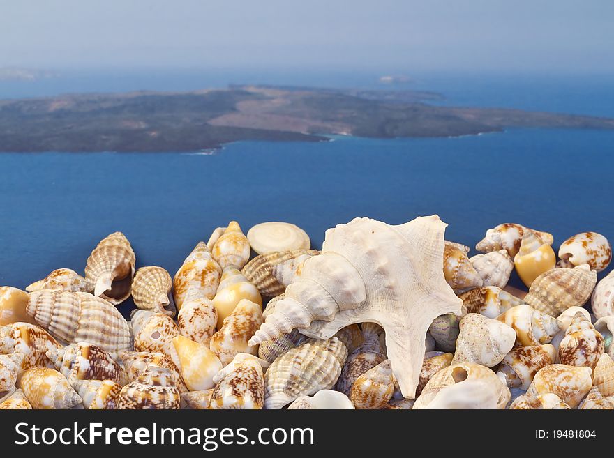 Greek island summer,seashells and oysters