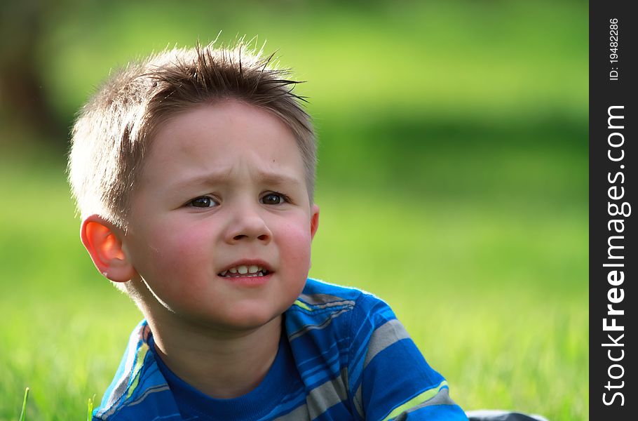 Happy little boy at the park on green grass. Happy little boy at the park on green grass