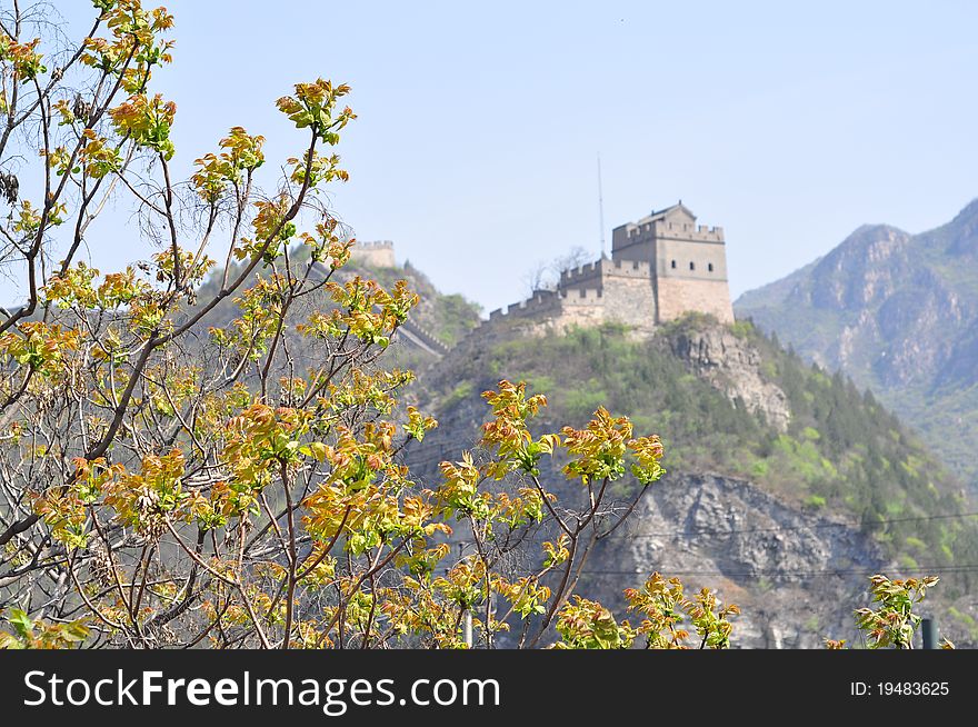 View of Great Wall with flowers