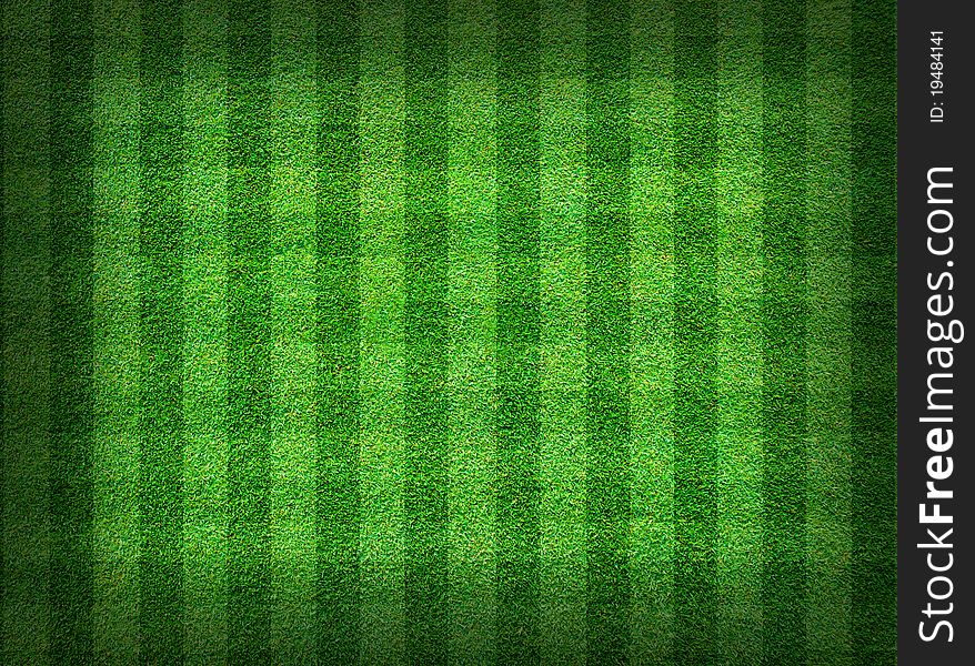 Real green grass field