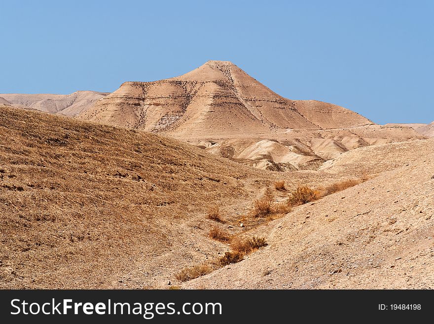 Yellow rocky desert landscape in bright summer day