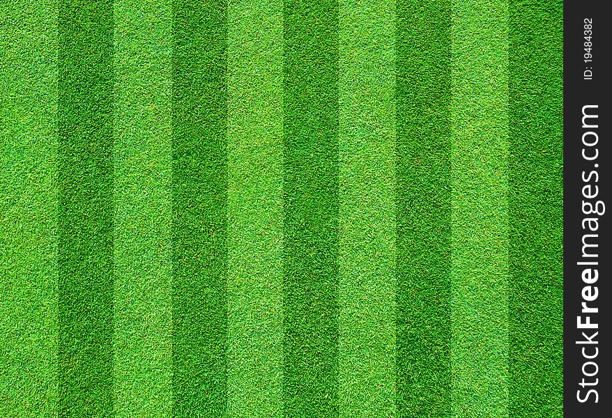 Real green grass field background