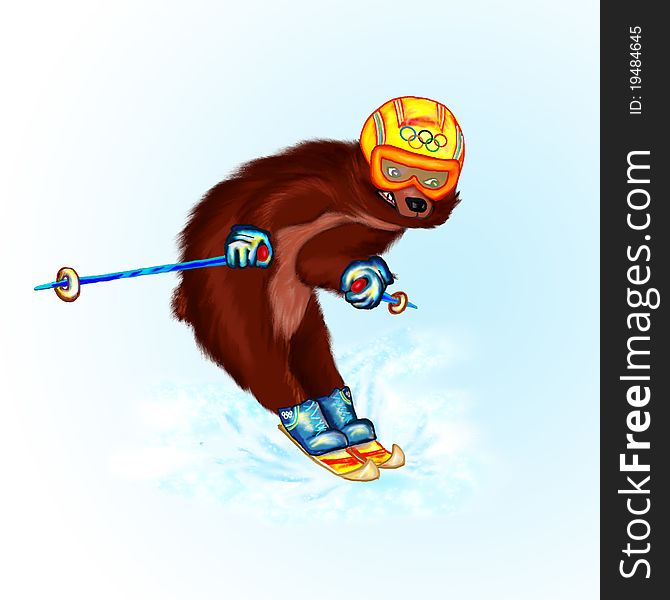 Bear on skis, Olympic champion. Bear on skis, Olympic champion