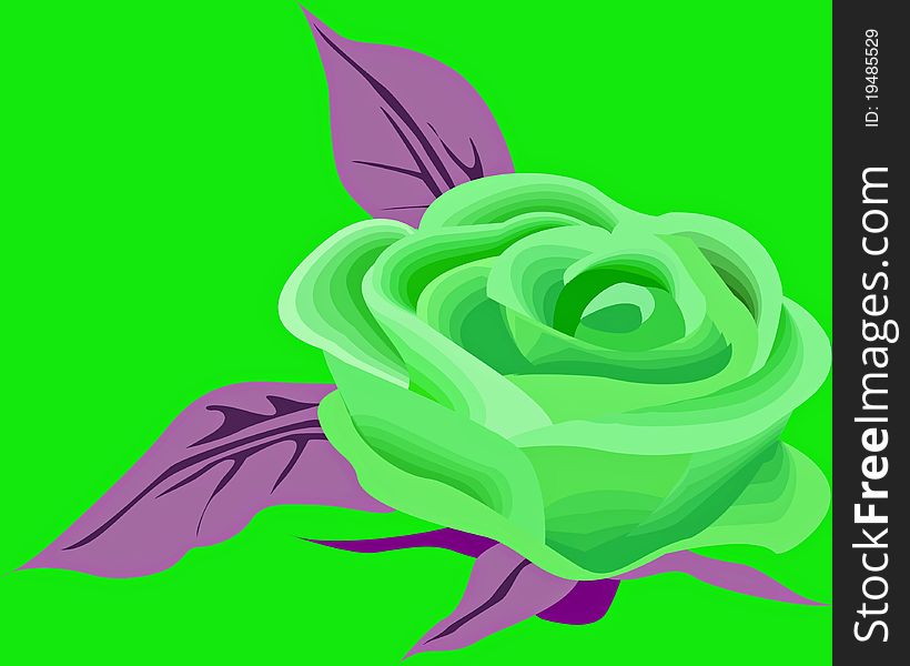 Fantasy green rose isolated on green base