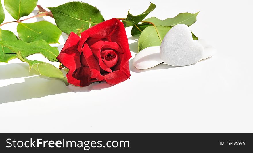 A red rose and hearts of white stone in white background