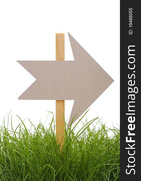 Cardboard direction sign on green grass