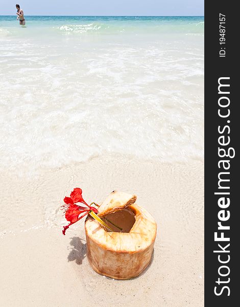 Coconut On White Sand