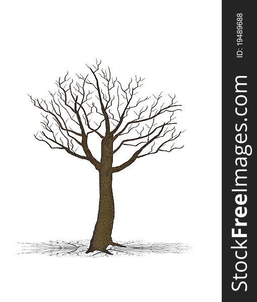 Dry tree silhouette,brown,dead