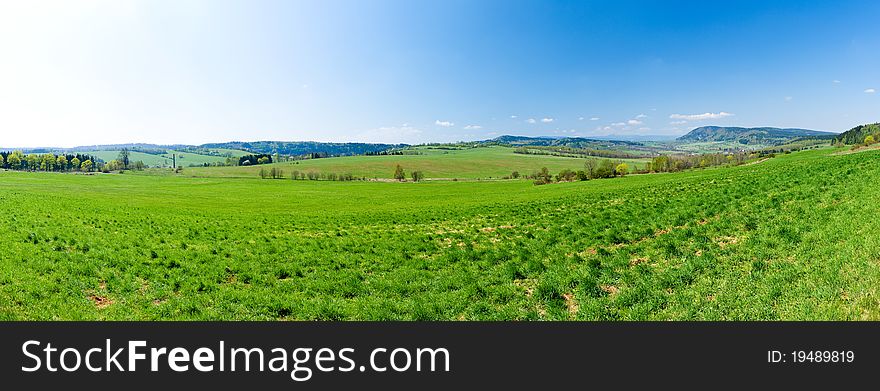 Fresh green panorama during the spring
