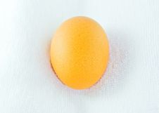 Close Up An Egg On White Towel Stock Image