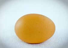 Close Up An Egg On White Towel Royalty Free Stock Photos