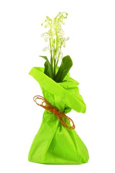 Flowers Lily Of The Valley Royalty Free Stock Photos Flowers Lily Of The Valley Royalty Free Stock Photos