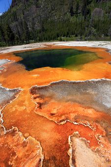 Yellowstone National Park Royalty Free Stock Photos Yellowstone National Park Royalty Free Stock Photos