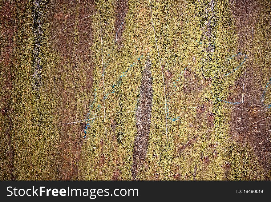 Photography shows a rusty metall background and moss. Photography shows a rusty metall background and moss.