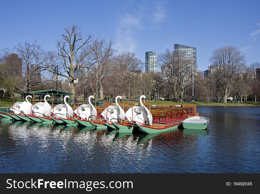 Boson Common public park in the city center. Boson Common public park in the city center