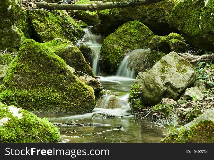 Stream In Forest