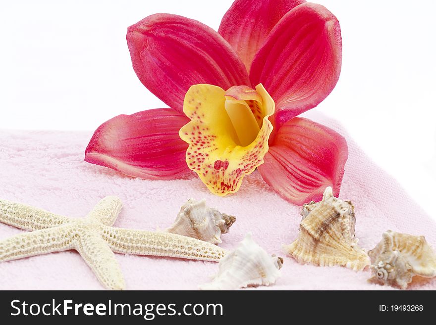 Pink orchid decoration with towel and sea shells. Pink orchid decoration with towel and sea shells