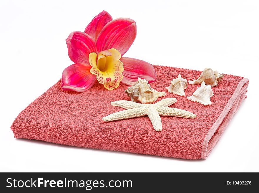 Pink orchid decoration with towel and sea shells. Pink orchid decoration with towel and sea shells