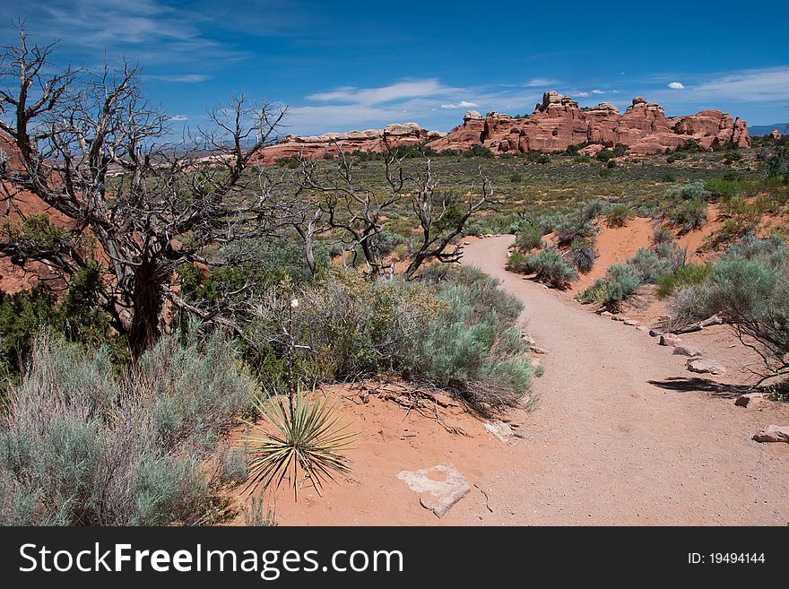 Trail in Arches National Park