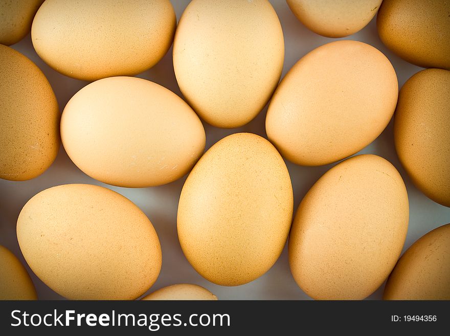 Close up of Chicken eggs