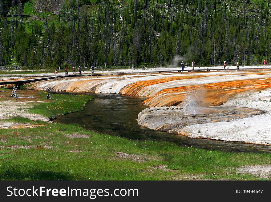 Stream Flowing through the Lower Geyser Basin,Black Sand Basin Scenic Area in South Yellowstone National Park.