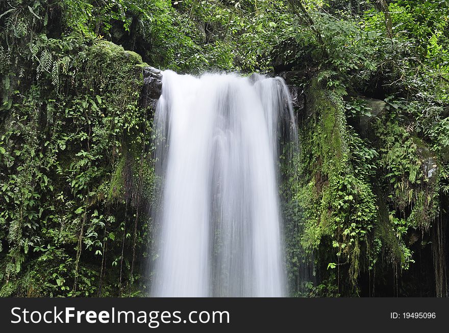 Waterfall in a dense forest. Waterfall in a dense forest