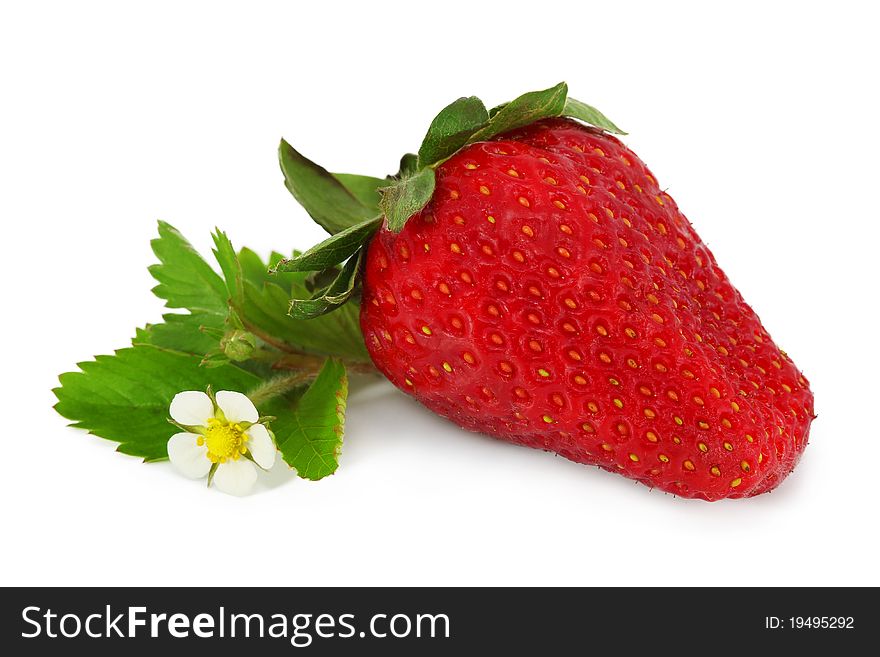 Fruit of red strawberry isolated on white background