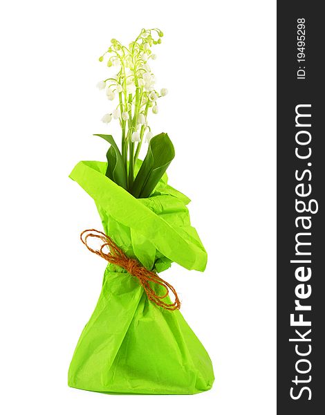 Flowers lily of the valley in a bright green paper