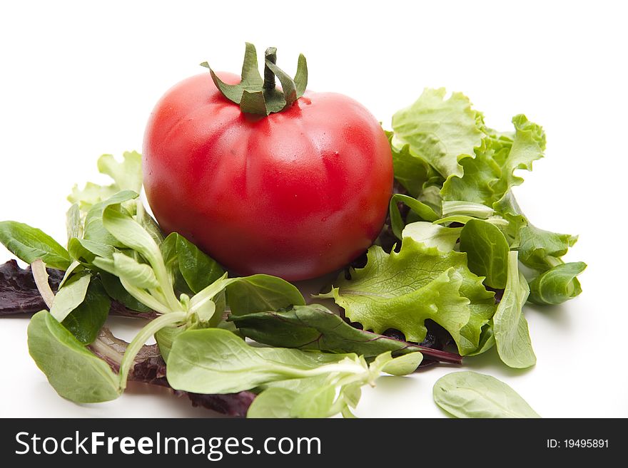 Red tomato onto leaf vegetables. Red tomato onto leaf vegetables