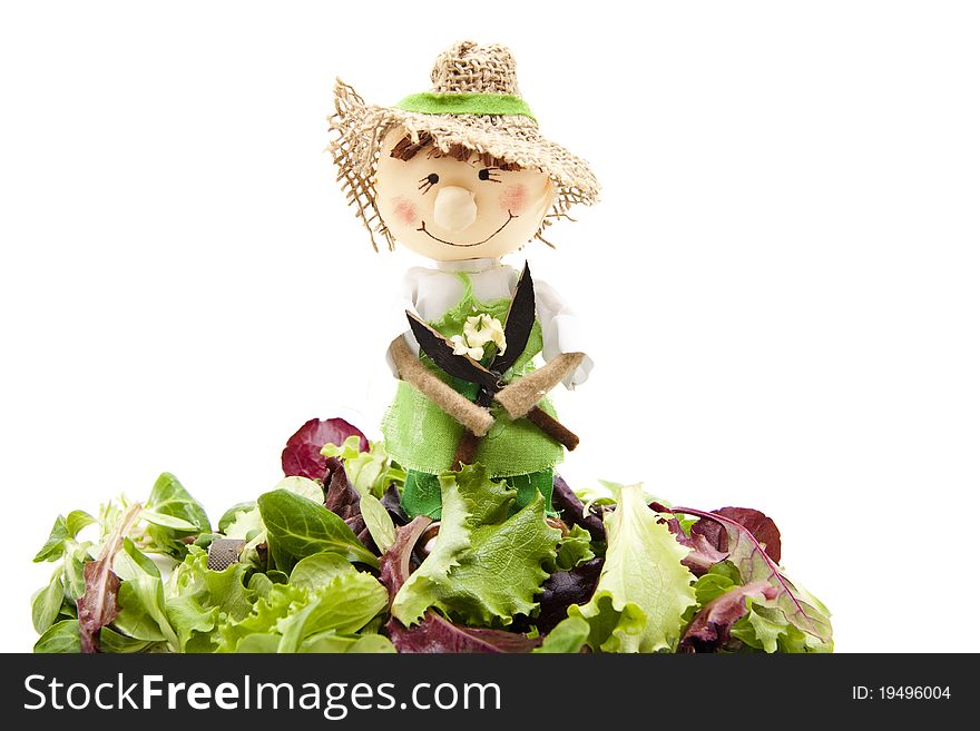 Straw doll with lettuce leaves