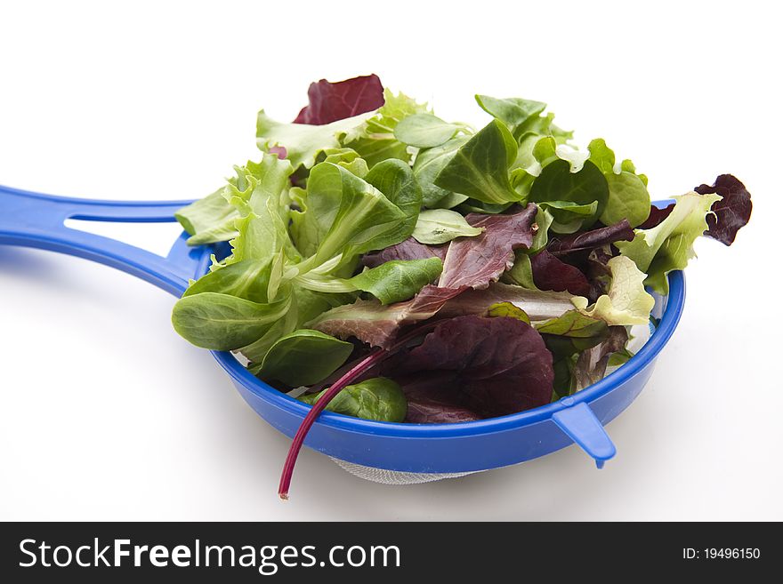 Lettuce leaves in the kitchen sieve