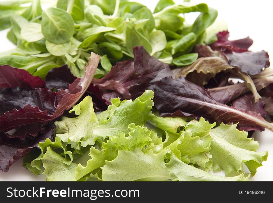 Different lettuce leaves onto white background