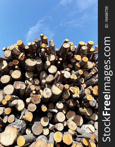 Woodpile and blue sky in summer