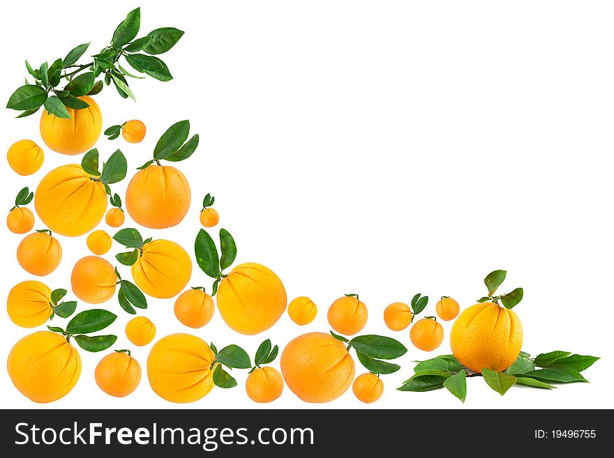Oranges making a border isolated on a white background
