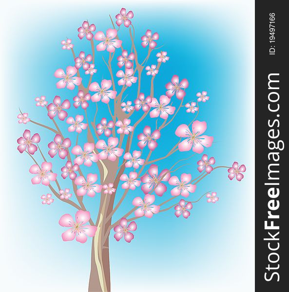 Blossoming tree. Spring beautiful tree. Blossoming tree. Spring beautiful tree