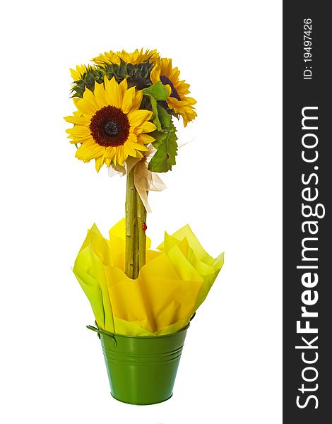 Sunflower Flower Arrangement