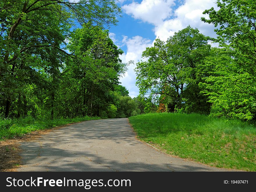 Spring park with green trees and blue sky