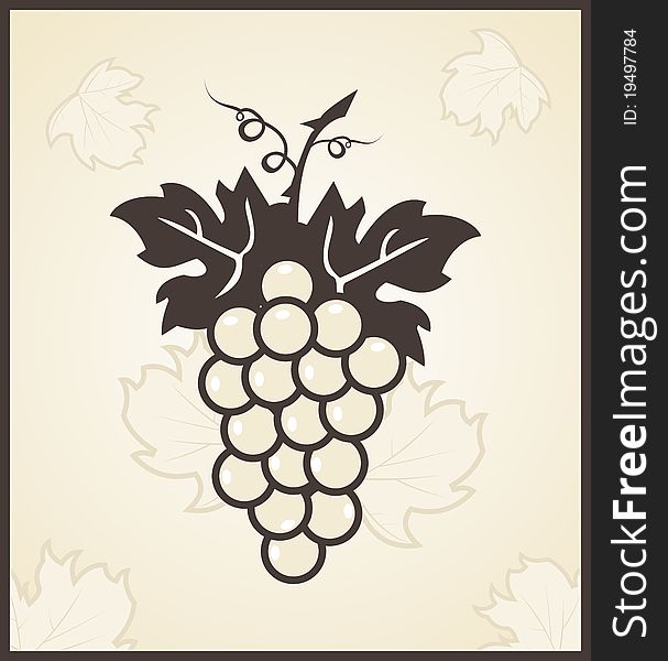 Illustration retro engraving of grapevine - vector