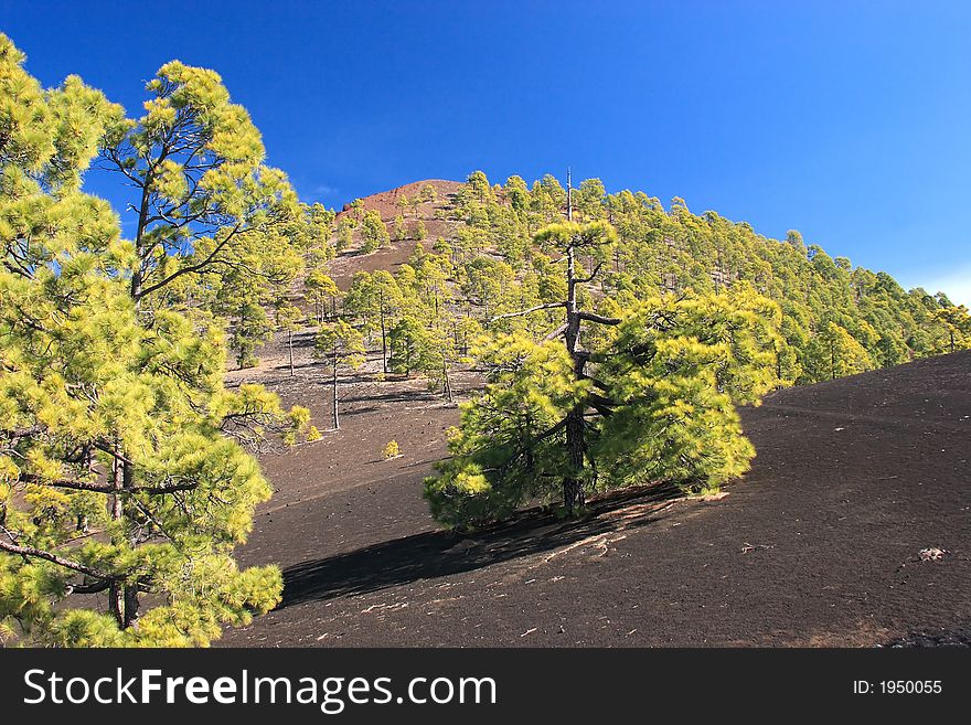 Teneriffe - Teide