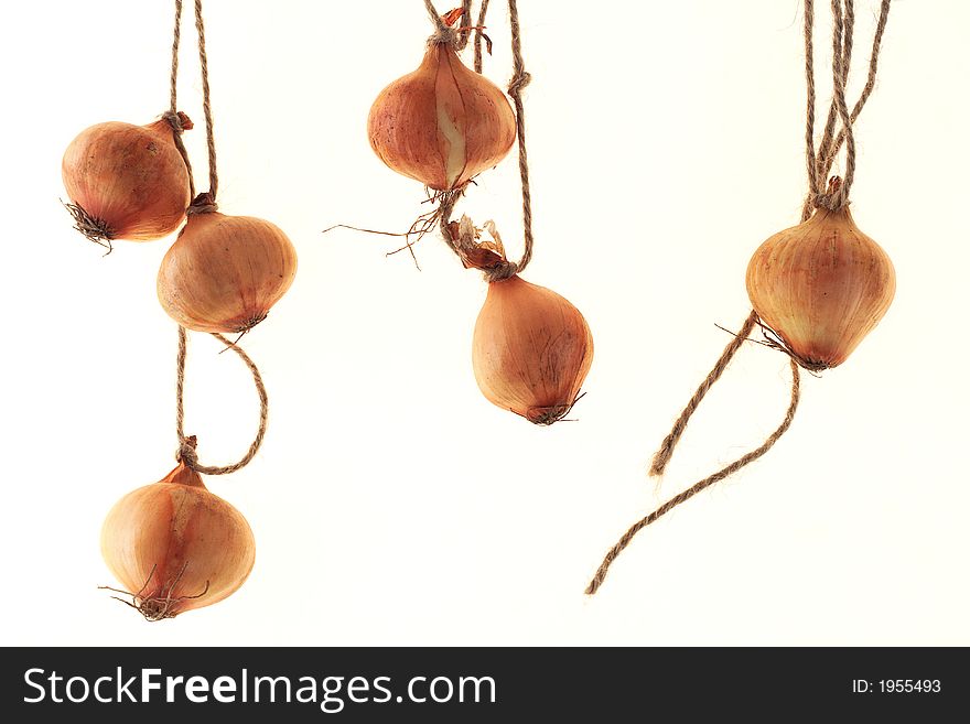 Six british baby onions tied on the ropes with white background