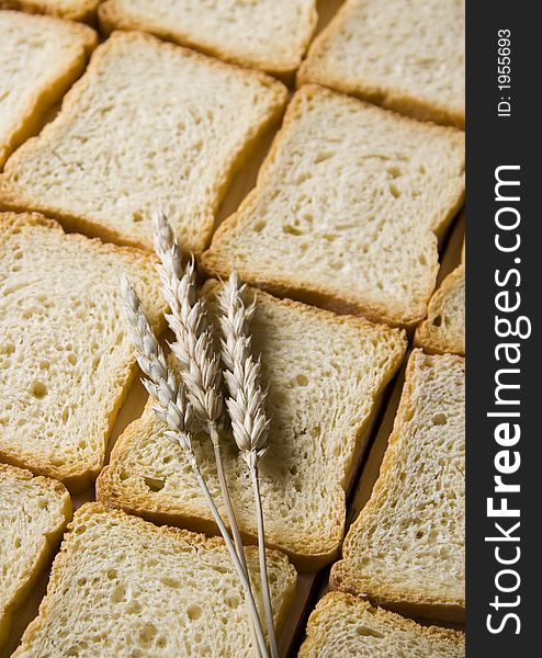 Bread is one of the basic kinds of food in Europen countries. Bread is one of the basic kinds of food in Europen countries.