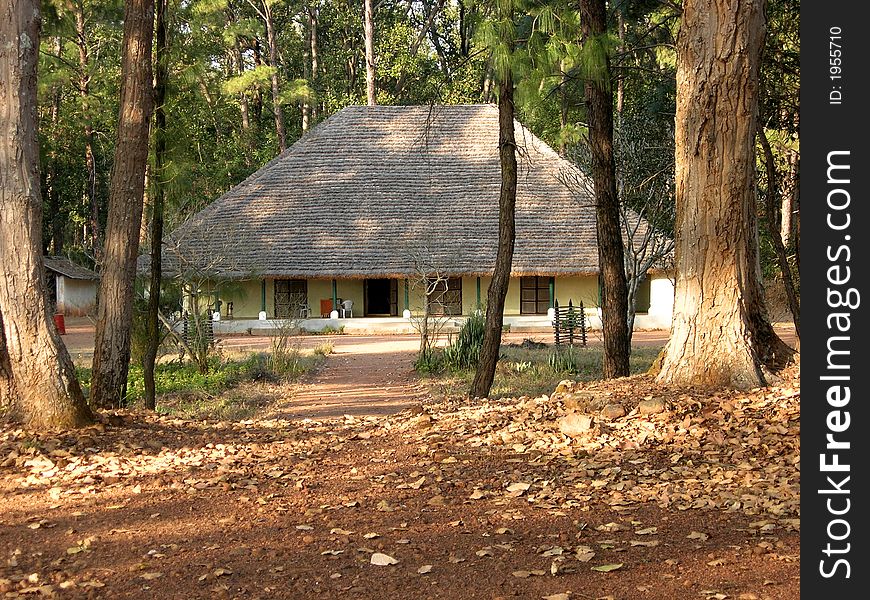 A view of rest house in deep woods, near kanha