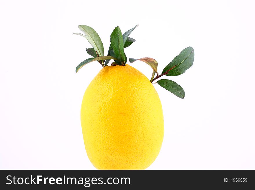 Lemons composition on pure white background