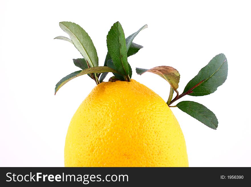 Lemons composition on pure white background